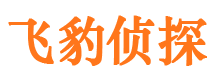 乌兰侦探公司